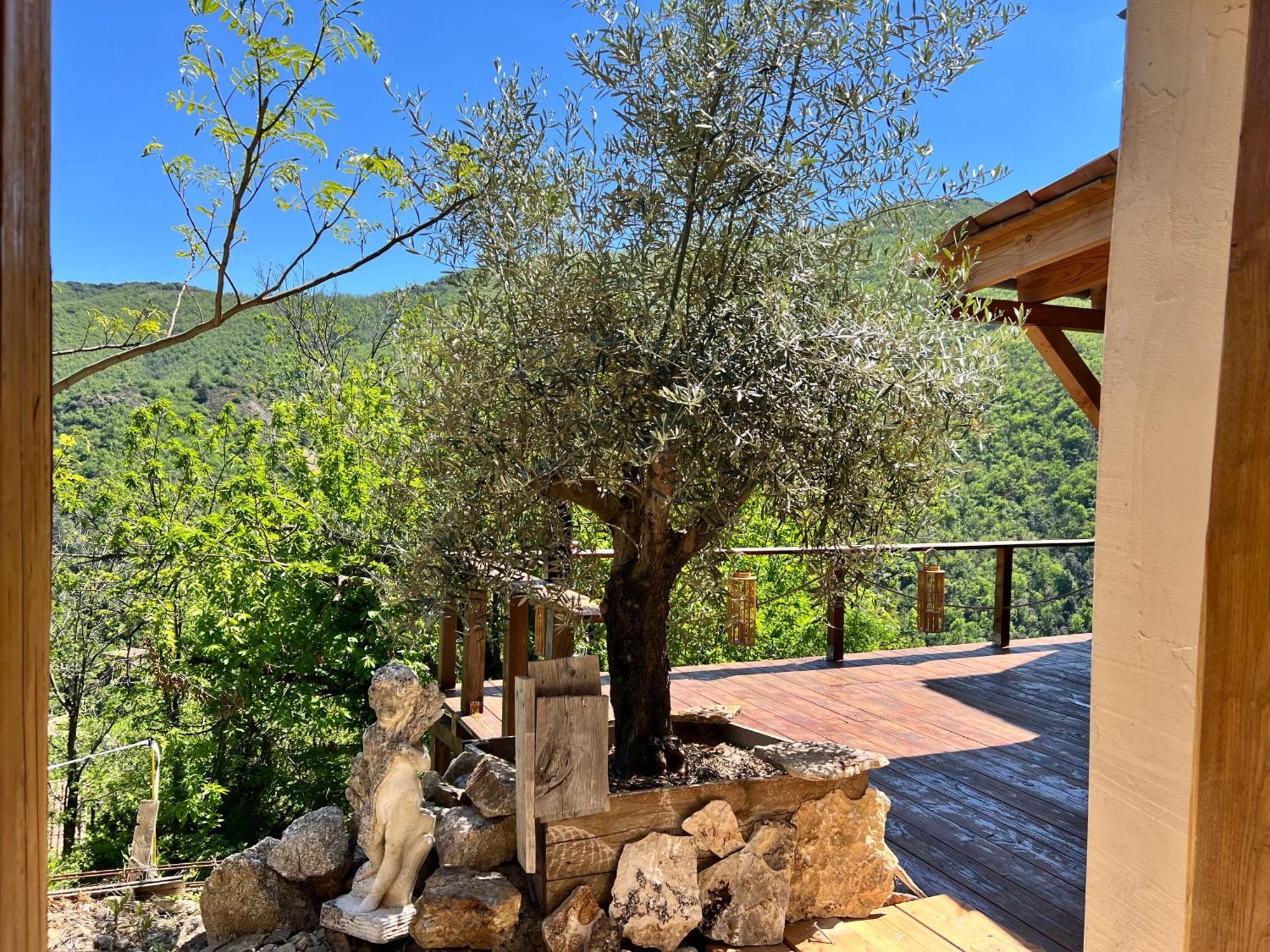 Les Magnels Bed & Breakfast Valleraugue Exterior foto
