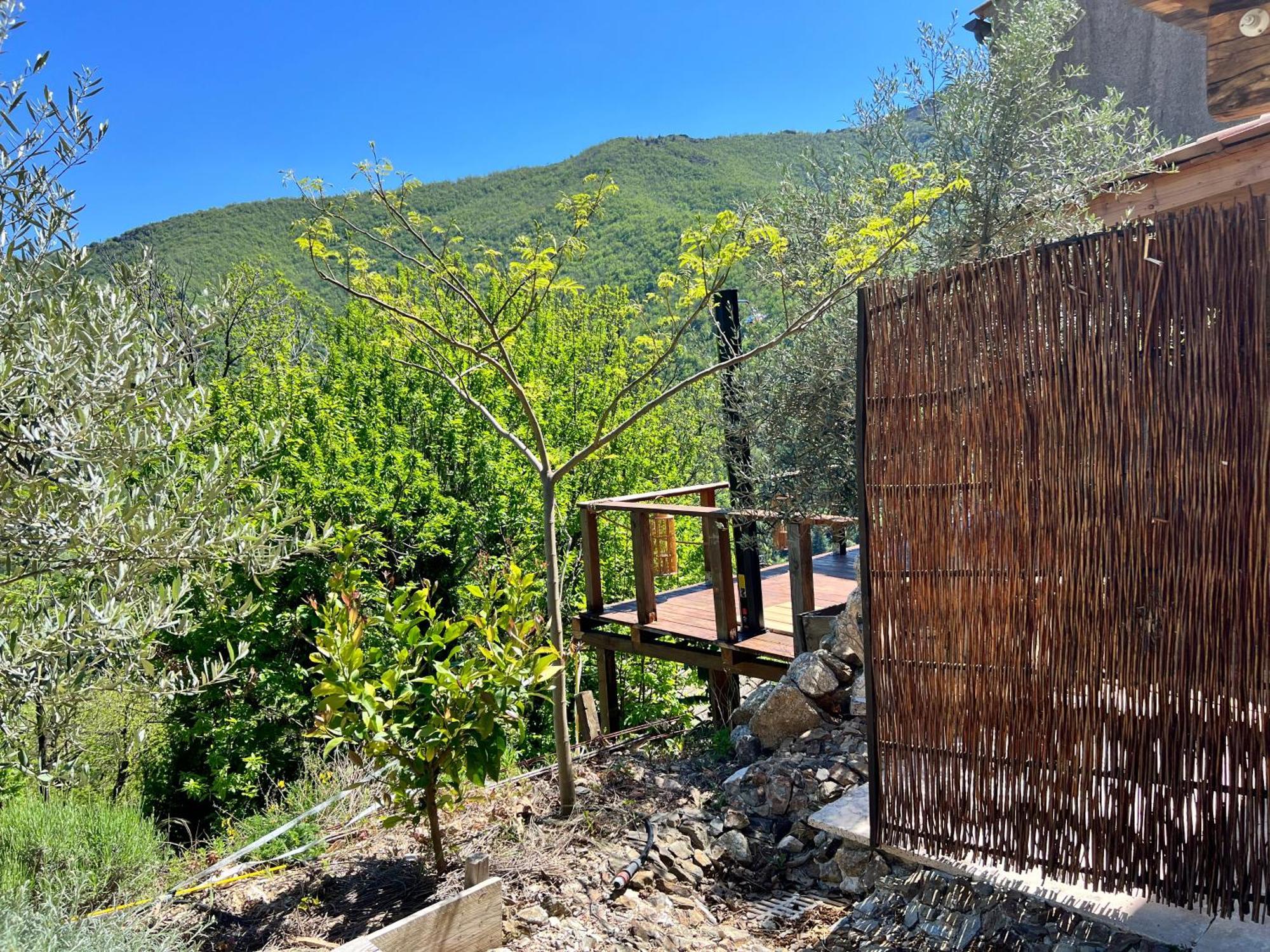 Les Magnels Bed & Breakfast Valleraugue Cameră foto